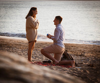 Danny and Stephanie - Proposal